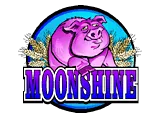 Moonshine