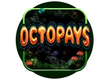 Octopays