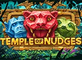 Temple of Nudges