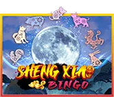 Sheng Xiao Bingo