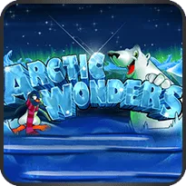 Arctic Wonders