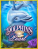 Dolphins Pearl