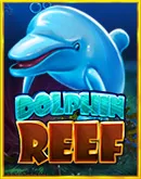 Dolphin Reef