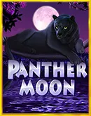 Panther Moon