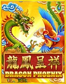 Dragon Phoenix