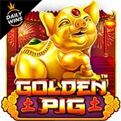 Golden Pig