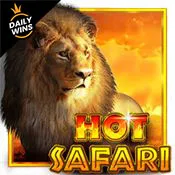 Hot Safari