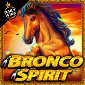 Bronco Spirit