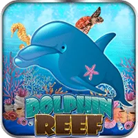 Dolphin Reef